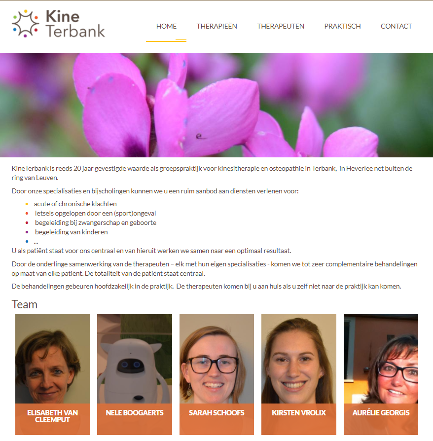 Screenshot website Kine Terbank